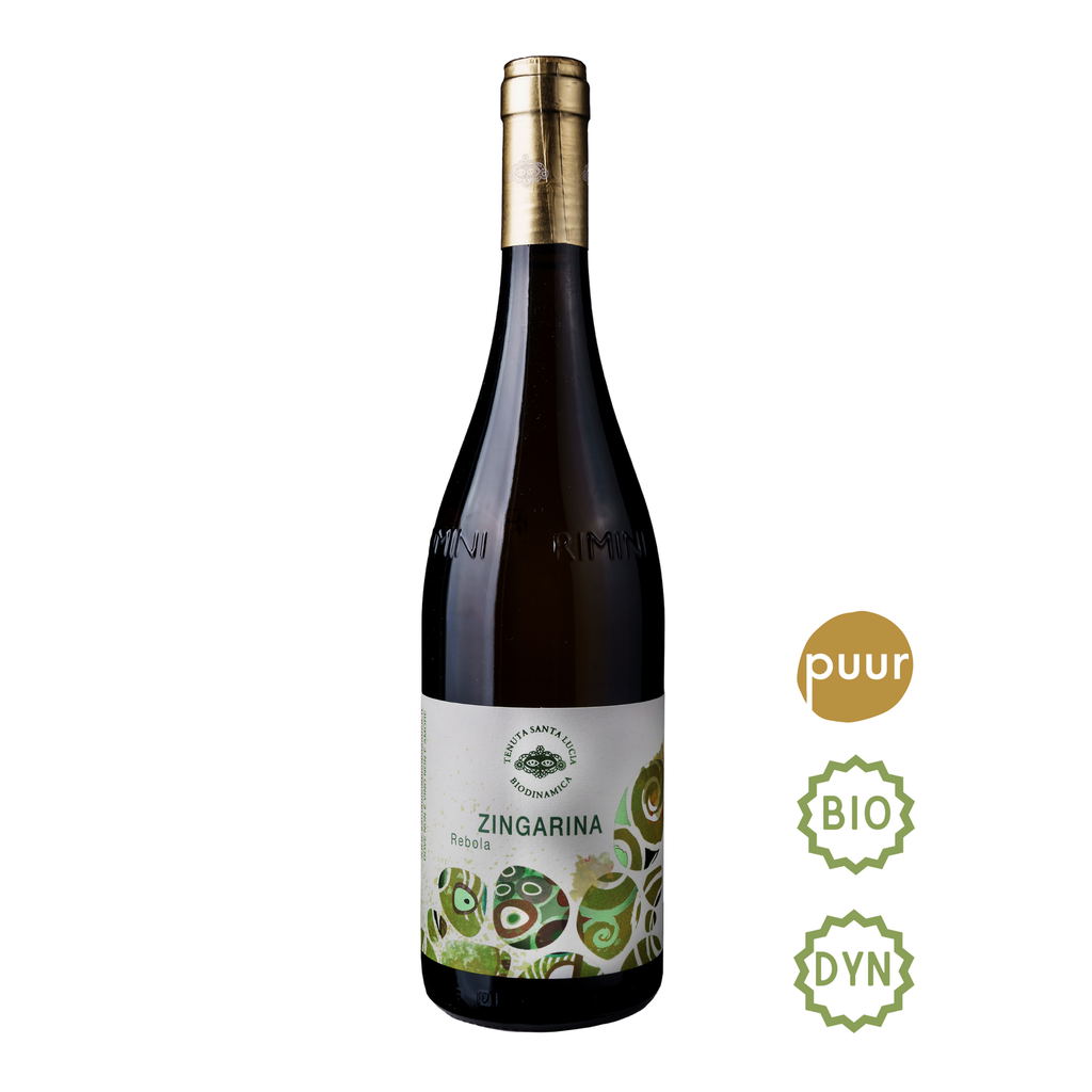 Tenuta Santa Lucia - ZINGARINA - Rebola - 2024