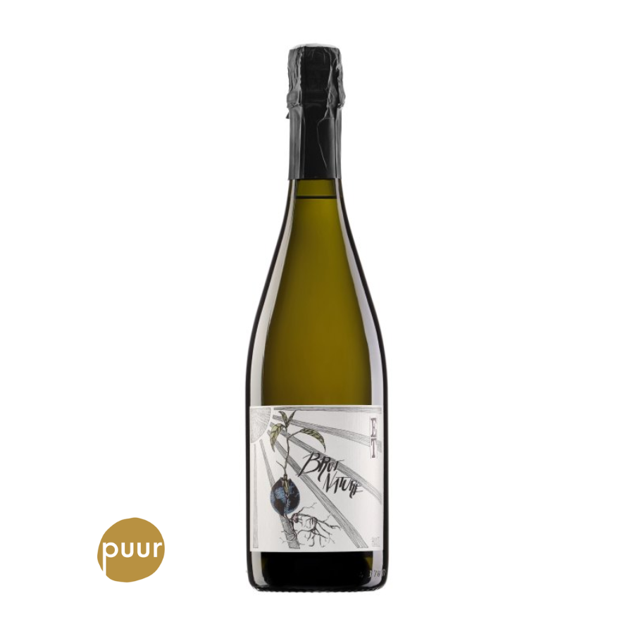 Ernst Triebaumer - Brut Nature - 2020