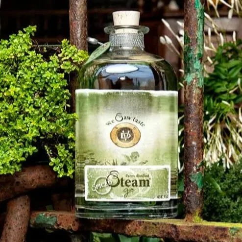 [STG002] Steam - Gin Spiced - 50cl