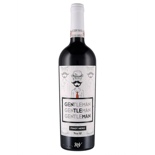 [FER304] Ferro 13 Gentleman Pinot Nero - 2021
