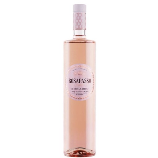[BIS501] Biscardo Rosapasso - 2023