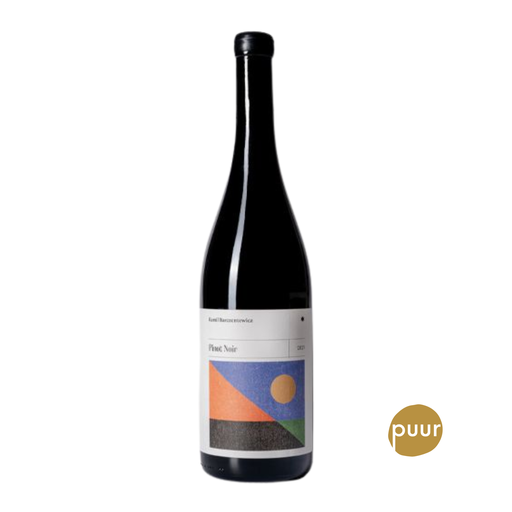 [KAM301] Kamil Barczentewicz - Lublin - Pinot Noir Dobre Major - 2022