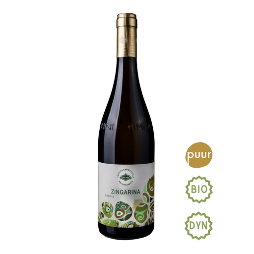 [SL402] Tenuta Santa Lucia - ZINGARINA - Rebola - 2024